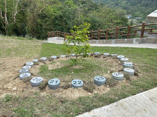 圖片：樹葬區